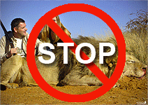 stop trophy hunting