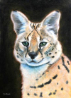 Serval