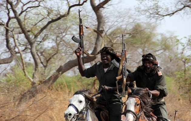 chad elephants poaching