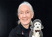 jane goodall