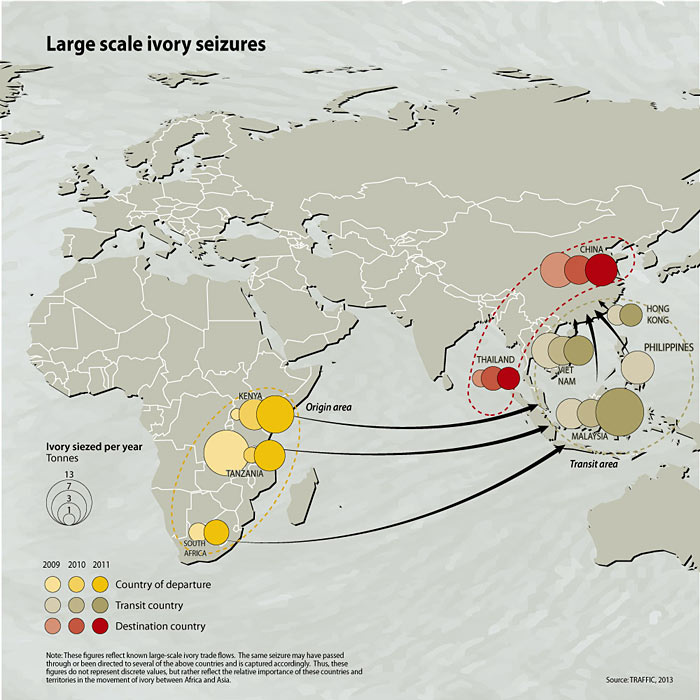 1 large-scale-ivory-seizures 6732