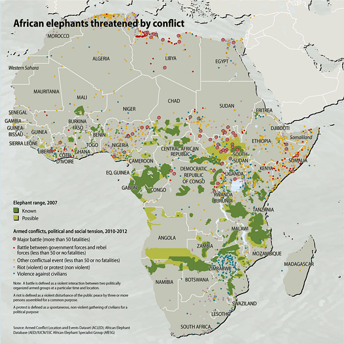 african-elephants-threatened-by-conflict ceab