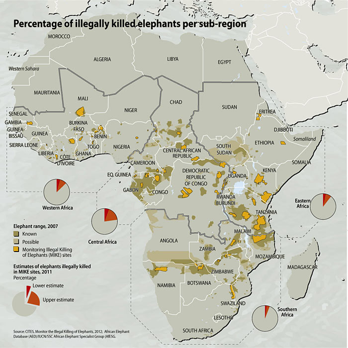 percentage-of-illegally-killed-elephants-per-sub-region 333f