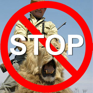 Lovy v Africe nebo sportovní lov anebo trofejní lov?