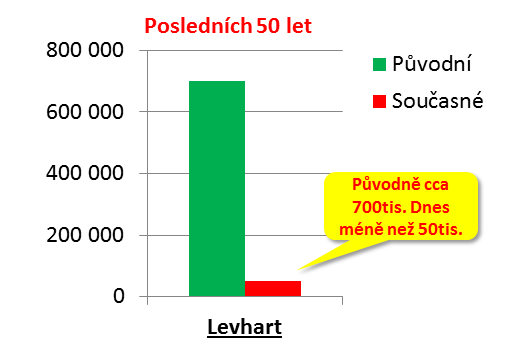 Levhart není tak kriticky ohrožen jako lev, přesto jejich stavy nejen v africe prudce klesají.