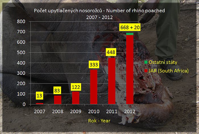 nororozci rhino poached