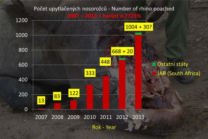 nororozci rhino poached 2013