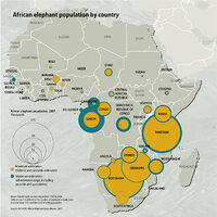 african-elephant-population-by-country 0858