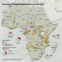 percentage-of-illegally-killed-elephants-per-sub-region 333f