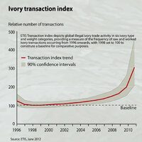 z ivory-transaction-index b8cf