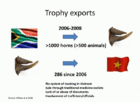 Export trofejí také ukazuje varovná čísla.