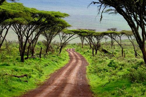 Cesta do kráteru Ngorongoro