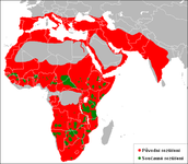 Mapka původního rozšíření lva (červeně). Zeleně - současné rozšíření lva